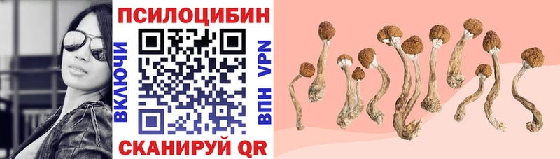 Галлюциногенные грибы Psilocybe  Голицыно 